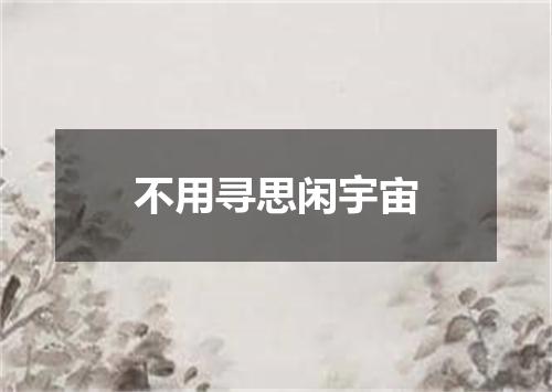 不用寻思闲宇宙