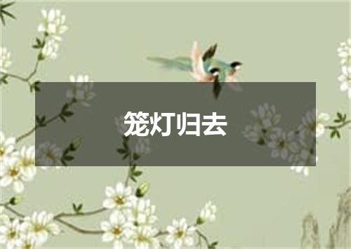 笼灯归去