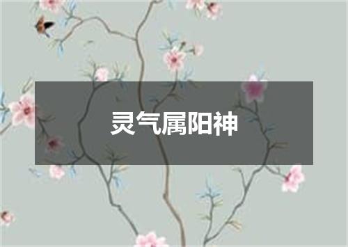 灵气属阳神