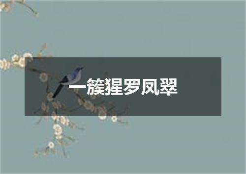 一簇猩罗凤翠