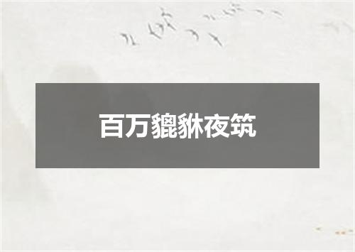百万貔貅夜筑