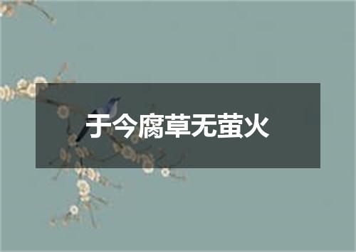 于今腐草无萤火