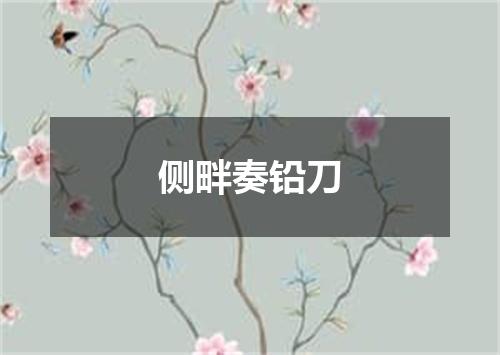 侧畔奏铅刀