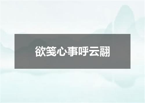 欲笺心事呼云翮