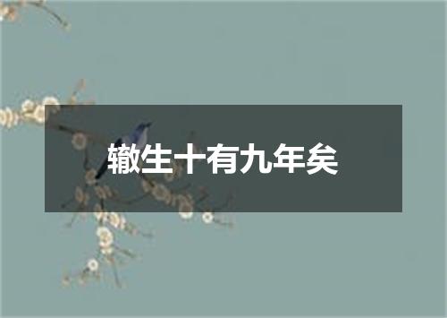 辙生十有九年矣