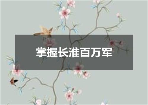掌握长淮百万军