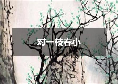 对一枝春小