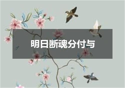 明日断魂分付与