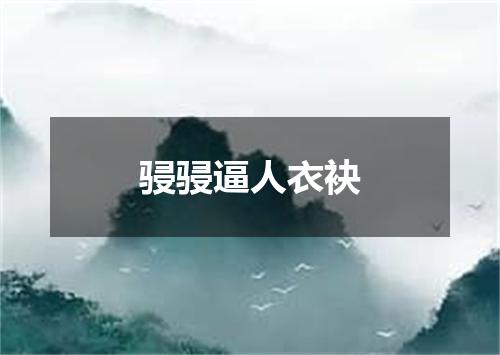骎骎逼人衣袂