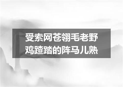 受索网苍翎毛老野鸡蹅踏的阵马儿熟