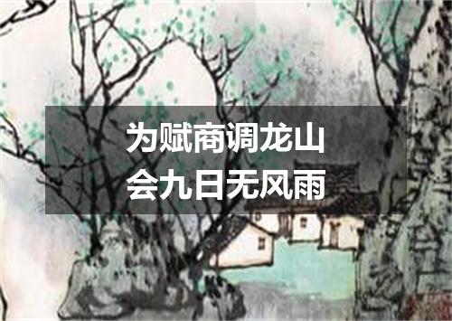 为赋商调龙山会九日无风雨
