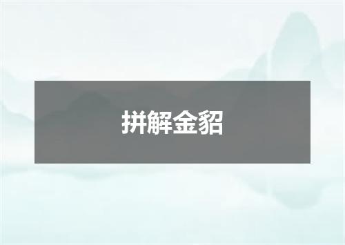 拼解金貂