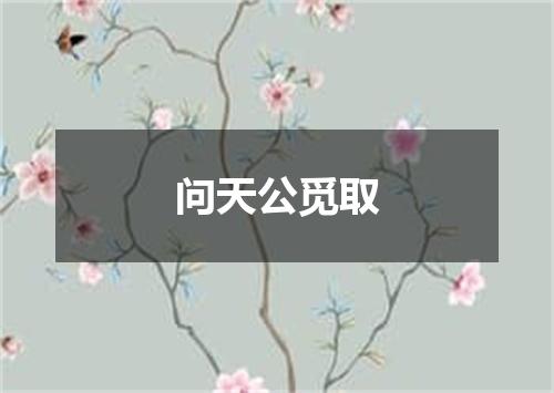 问天公觅取