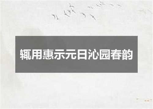 辄用惠示元日沁园春韵