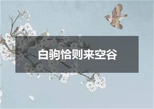 白驹恰则来空谷