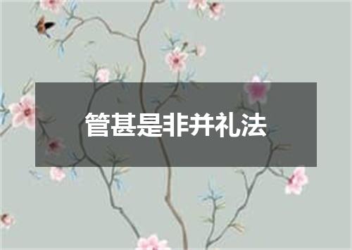 管甚是非并礼法