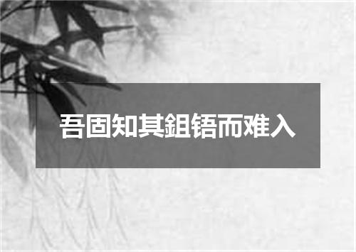 吾固知其鉏铻而难入