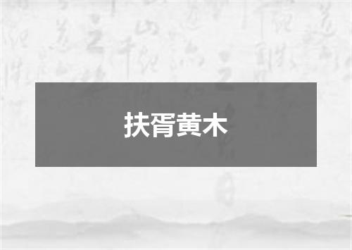 扶胥黄木