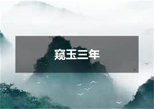 窥玉三年