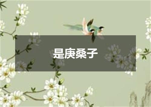 是庚桑子