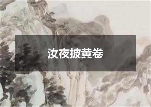 汝夜披黄卷