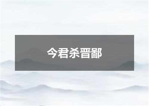 今君杀晋鄙