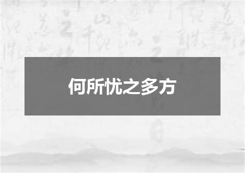 何所忧之多方