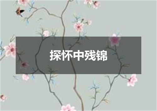 探怀中残锦