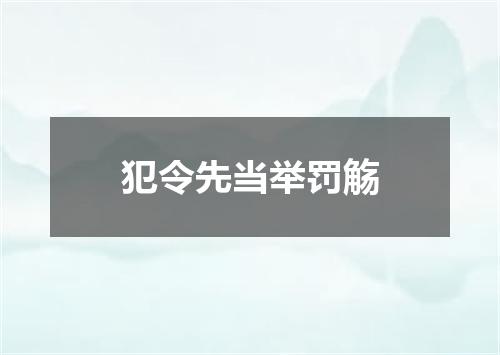 犯令先当举罚觞