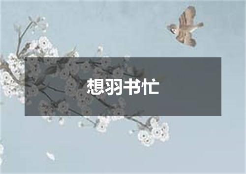 想羽书忙