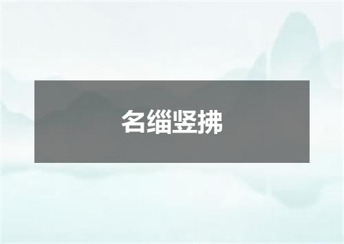 名缁竖拂