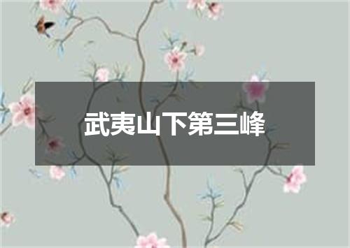 武夷山下第三峰