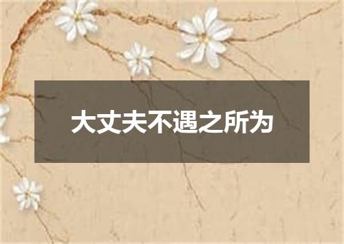 大丈夫不遇之所为