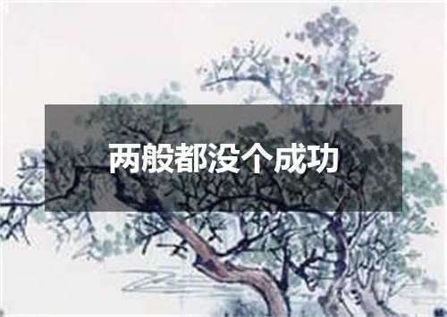 两般都没个成功