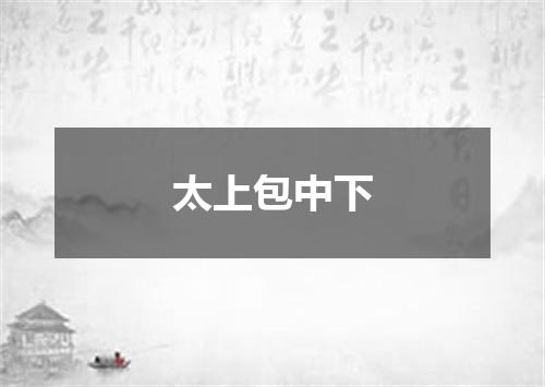 太上包中下