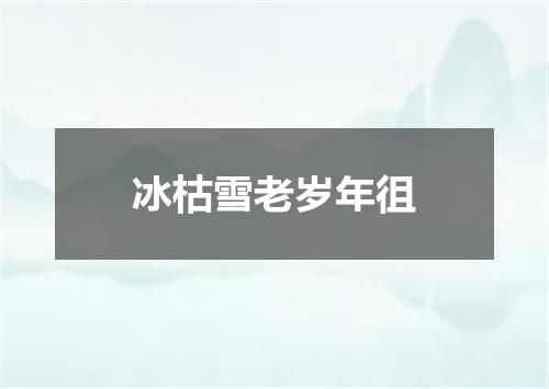 冰枯雪老岁年徂