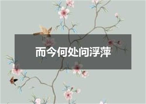而今何处问浮萍