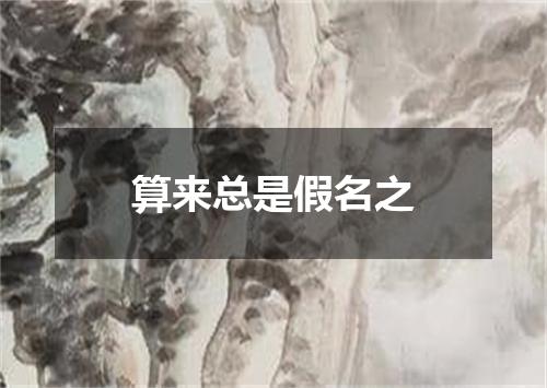 算来总是假名之