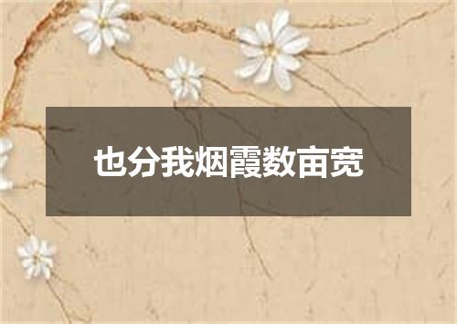 也分我烟霞数亩宽