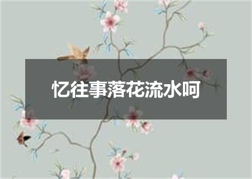 忆往事落花流水呵
