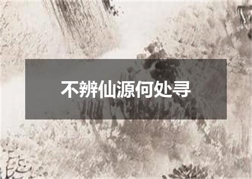 不辨仙源何处寻