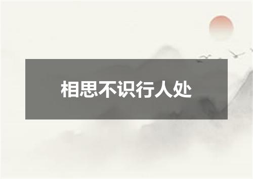 相思不识行人处