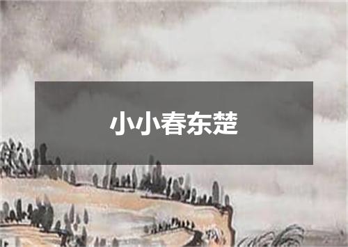 小小春东楚
