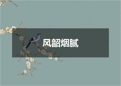 风韶烟腻