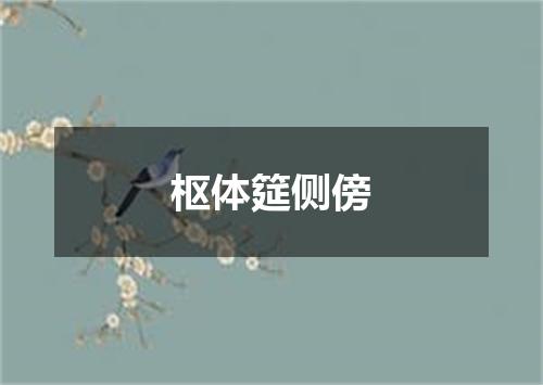 枢体筵侧傍