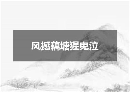 风撼藕塘猩鬼泣