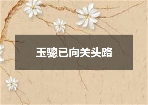 玉骢已向关头路