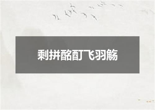 剩拼酩酊飞羽觞