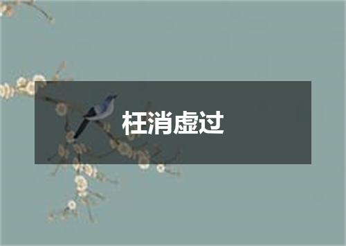 枉消虚过