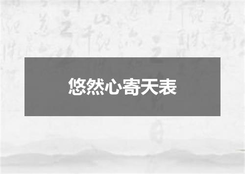 悠然心寄天表